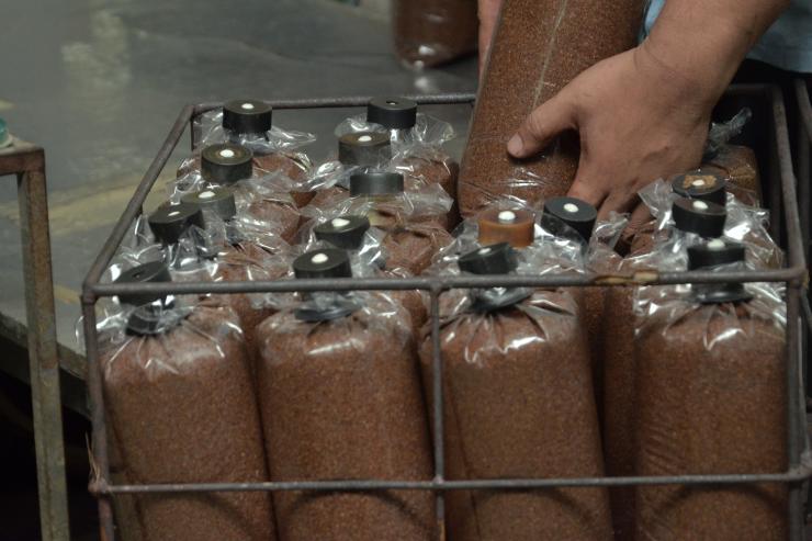 Fill up the poly bags with the organic materials